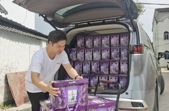 新彩爱心月捐赠活动