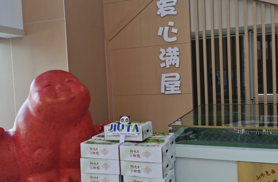 新彩爱心月捐赠活动